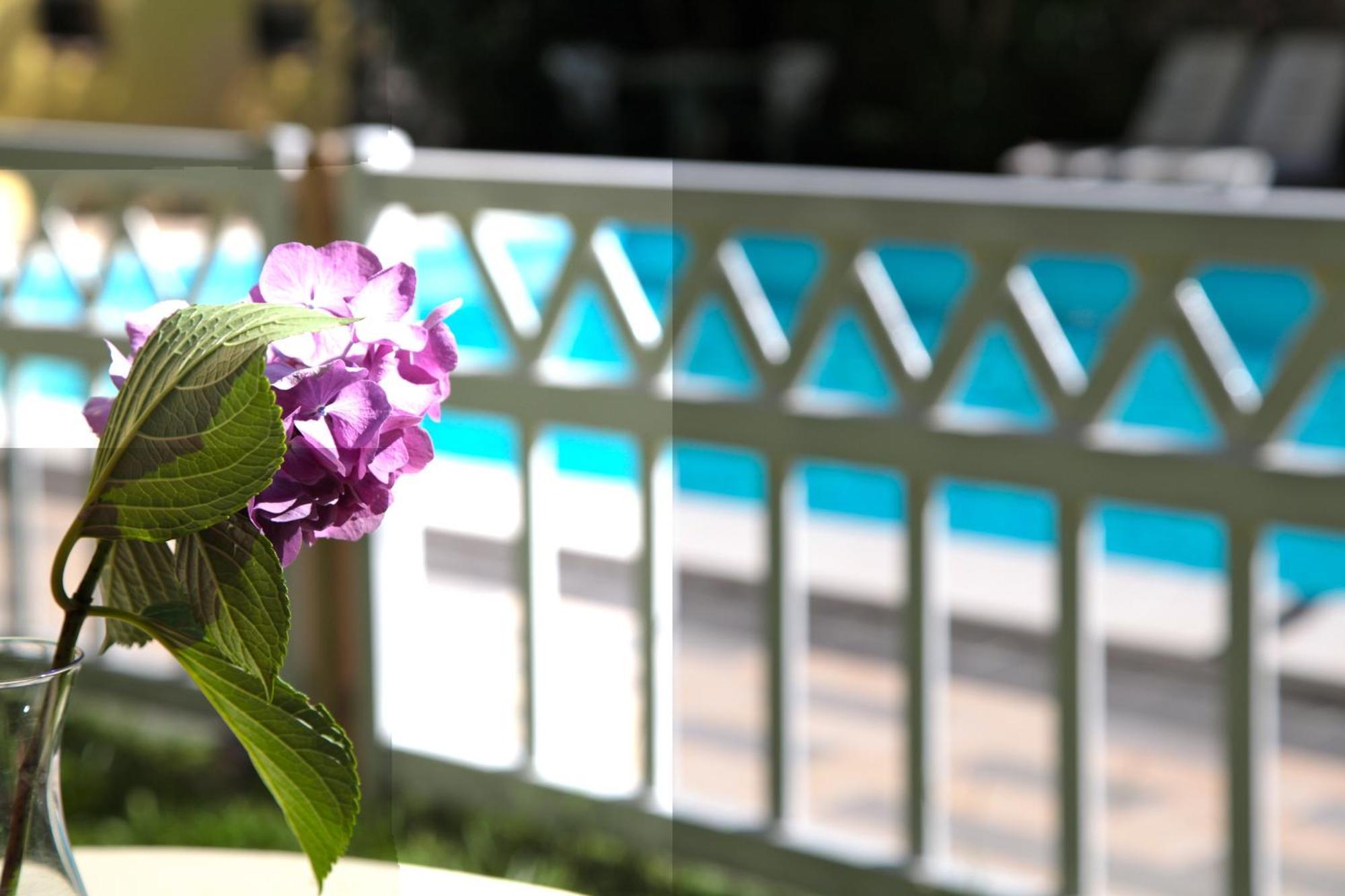 Hotel San Filis ซานเฟลีเช เดล เบนาโก ภายนอก รูปภาพ